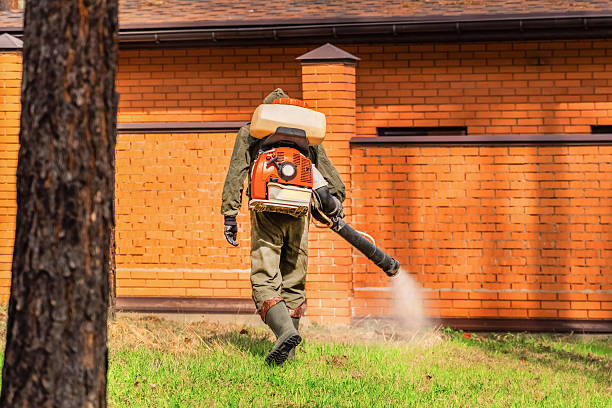 Trusted Termite Control service in Los Ranchos de Albuquerque, NM - Nex Pest Control